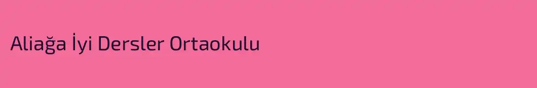 Aliağa İyi Dersler Ortaokulu